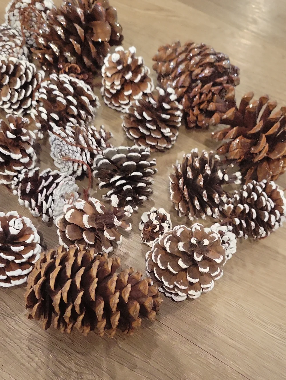 Holiday Pinecone Bundle